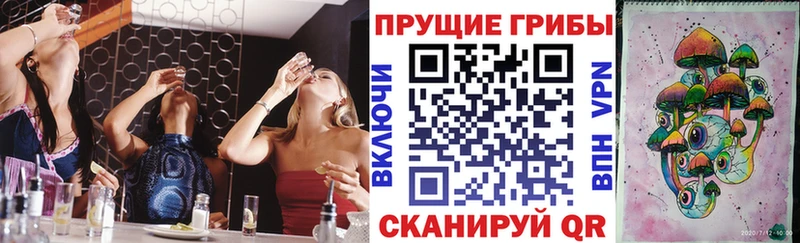 Псилоцибиновые грибы мицелий  Купить закладки  Краснознаменск 